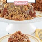 Old-fashioned oatmeal cake on a cake stand and a slice on a plate.