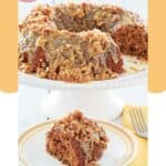 Oatmeal cake with coconut pecan frosting on a cake stand and a slice on a plate.