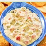 Rotel sausage cream cheese dip with chips around it.
