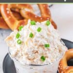 Cold beer cheese dip garnished with green onions.