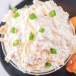 A bowl of cold beer cheese dip.