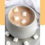 A mug of homemade hot chocolate.