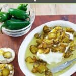 Candied jalapenos over cream cheese and a bowl of fresh jalapeno peppers.