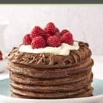 Chocolate pancakes with whipped cream and berries on a plate.