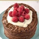 A stack of chocolate pancakes topped with whipped cream and berries.