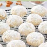 Homemade pecan sandies cookies and pecan pieces.