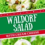 Waldorf salad in a bowl and on a serving spoon.