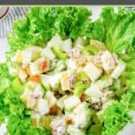 Waldorf salad over leaf lettuce in a bowl.