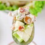 Waldorf salad on a spoon.
