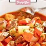 Homemade Instant Pot beef stew in a bowl.
