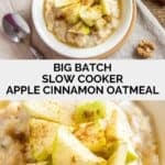 A bowl of oatmeal topped with apples and cinnamon.