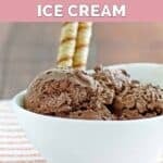Homemade Ben & Jerry's chocolate ice cream in a small bowl.