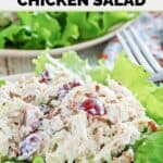 Homemade Chicken Salad Chick Fancy Nancy chicken salad and lettuce leaves on a plate.