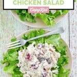 Homemade Chicken Salad Chick Fancy Nancy chicken salad and a fork on a plate.