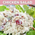 A scoop of homemade Chicken Salad Chick Fancy Nancy chicken salad on lettuce leaves.