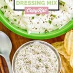 Homemade dry ranch dressing mix and a bowl of ranch dip.