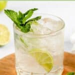 Homemade classic mojito garnished with fresh mint leaves.