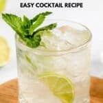 Homemade classic mojito in a lowball glass.