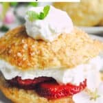 Homemade Ted's strawberry shortcake with whipped cream.