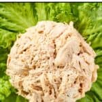 A scoop of copycat chicken salad chick barbie-q chicken salad on lettuce.