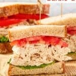 Homemade chicken salad chick barbie-q chicken salad sandwich.