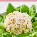 A serving of homemade Jason's Deli chicken salad.